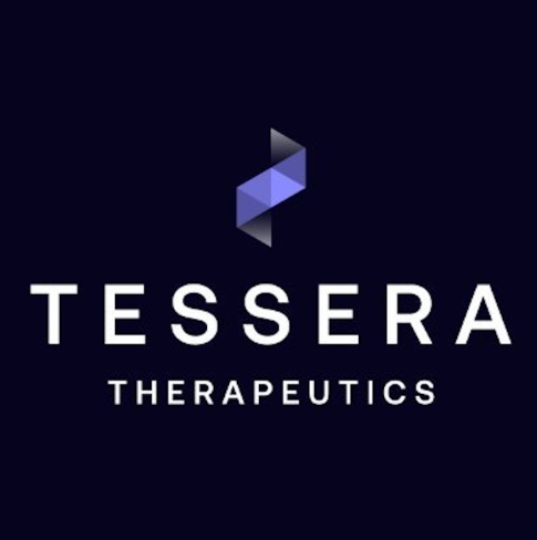 tesseract自动训练文字